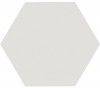六角磚【LIZ 白色純色霧面】浴室,商空,玄關,客廳,民宿