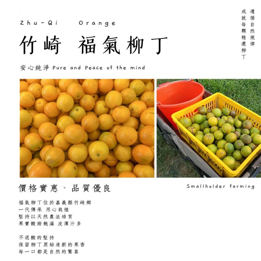 永萍挺小農福氣柳丁