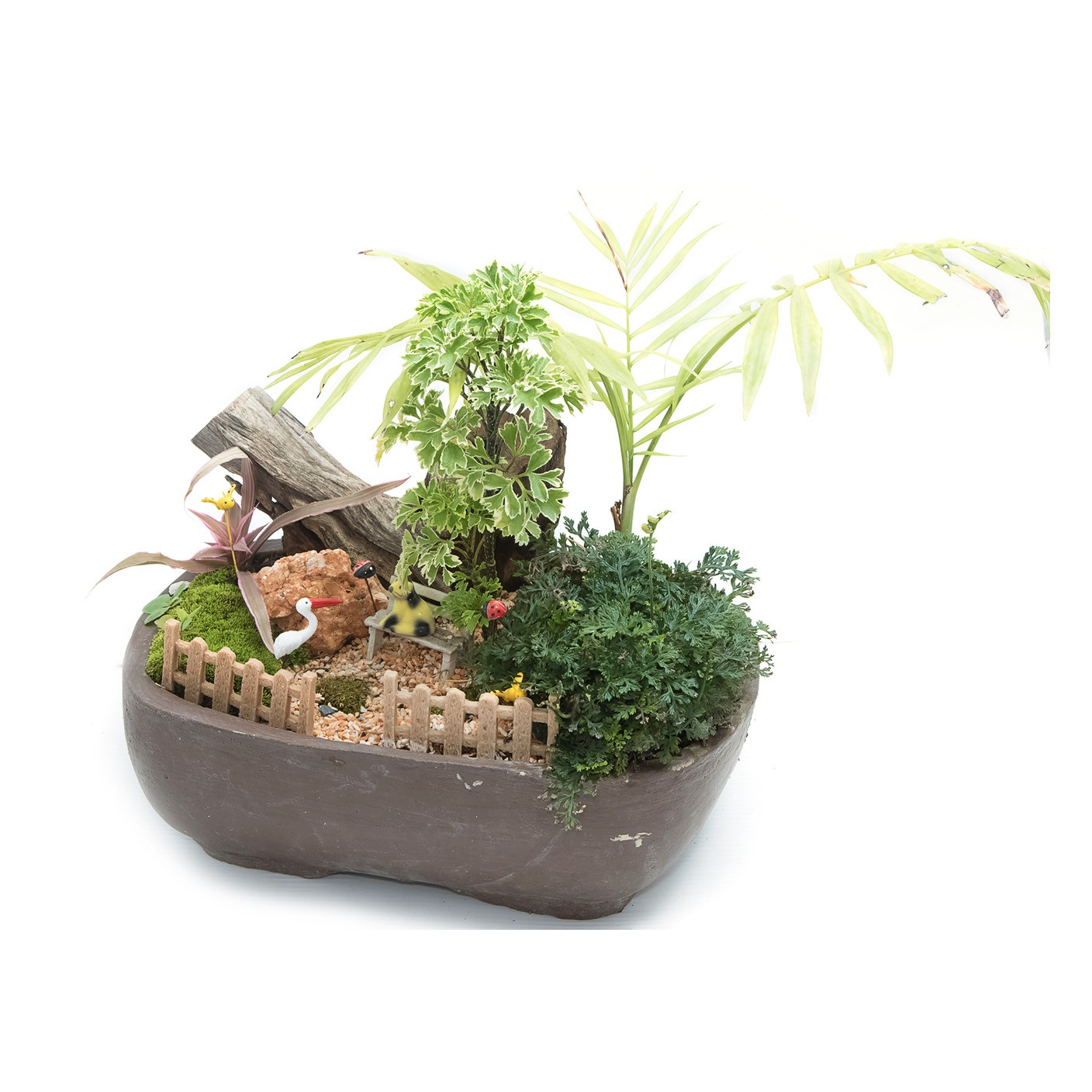【 綠植畫框 】