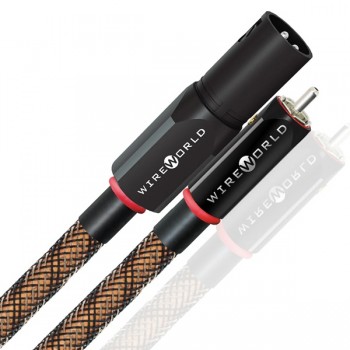 Eclipse 10  類比訊號線