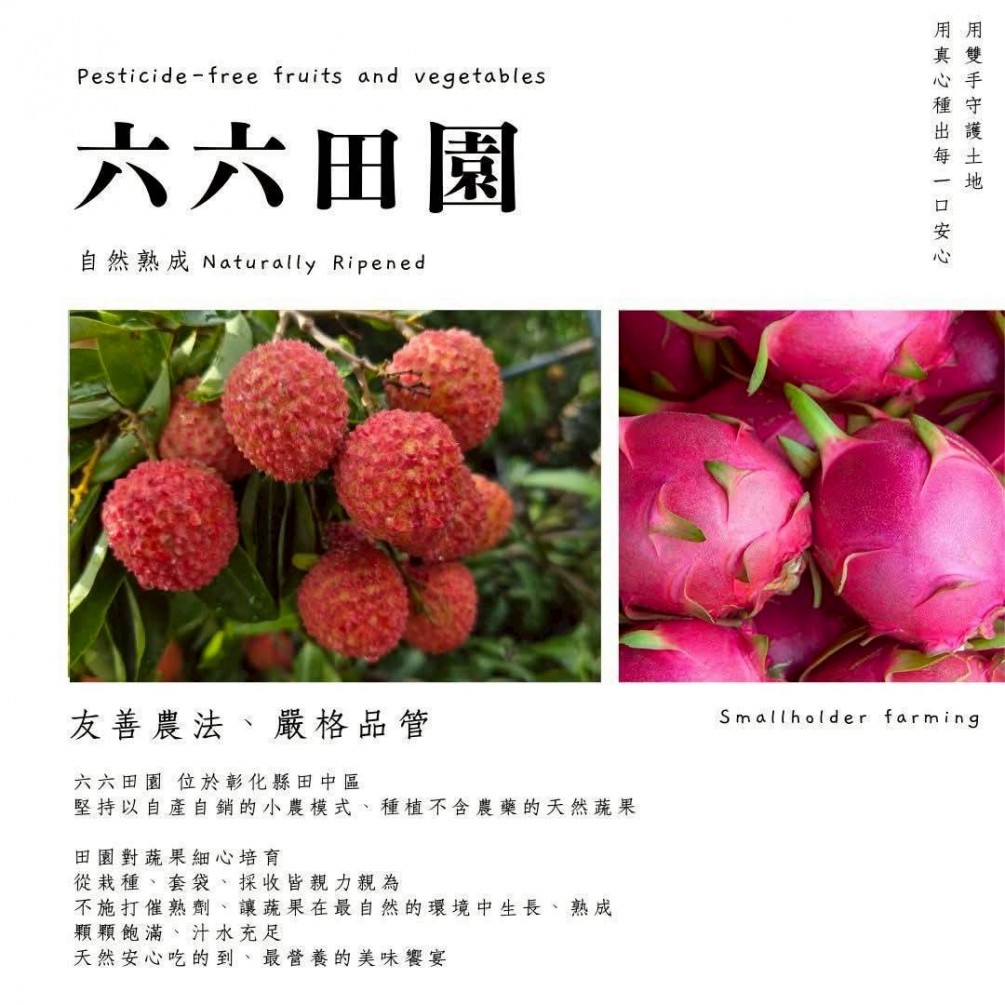 永萍挺小農 --六六田園