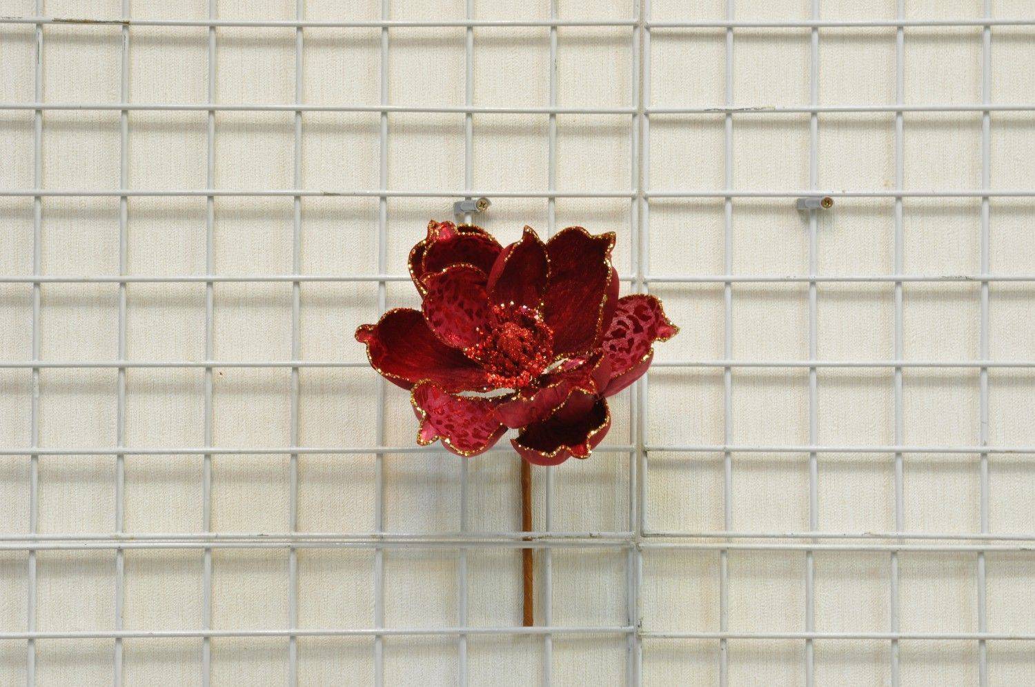 紅色斑紋洋芋蘭花