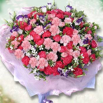 【滿分媽咪】100朵母親節大朵康乃馨花束