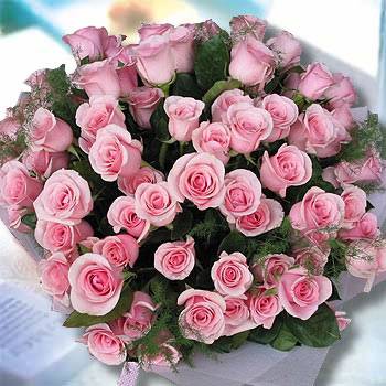 台北花店推薦《世紀之愛》99朵鐵達尼玫瑰求婚花束