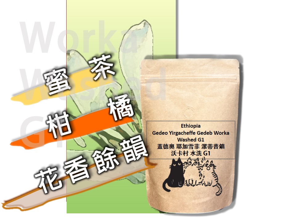 衣索比亞 耶加雪芙 潔蒂普鎮 沃卡 水洗