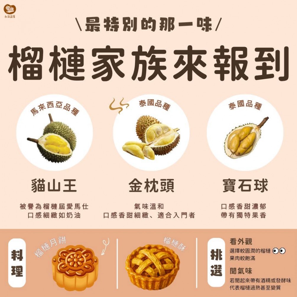 帶您一次認識不同榴槤的口感與特色 看看哪款才是您的命定榴槤吧！
