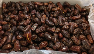 阿雅ALYA 特級黑鑽椰棗(去籽) -10公斤/箱