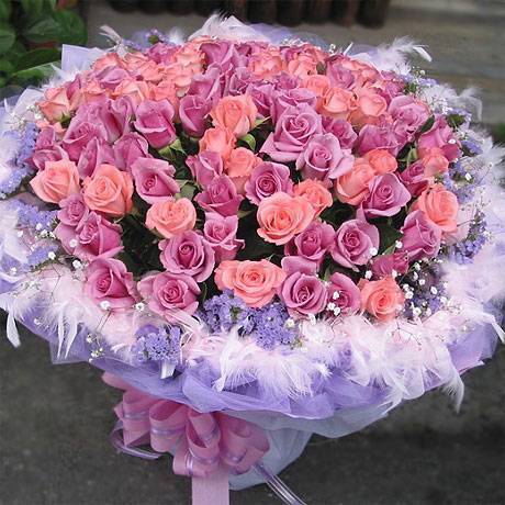 《繽紛的愛》99朵紫粉雙色玫瑰求婚花束