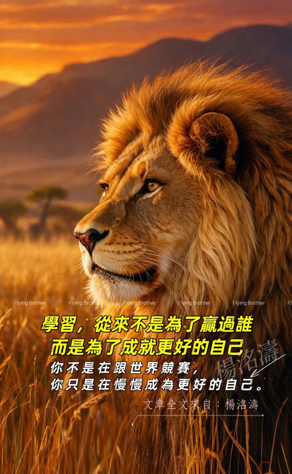 《學習，從來不是為了贏過誰；而是為了成就更好的自己》