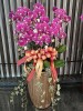 【恆發】八株蝴蝶蘭花(開幕/榮陞/喬遷)祝賀盆栽(高花盆)