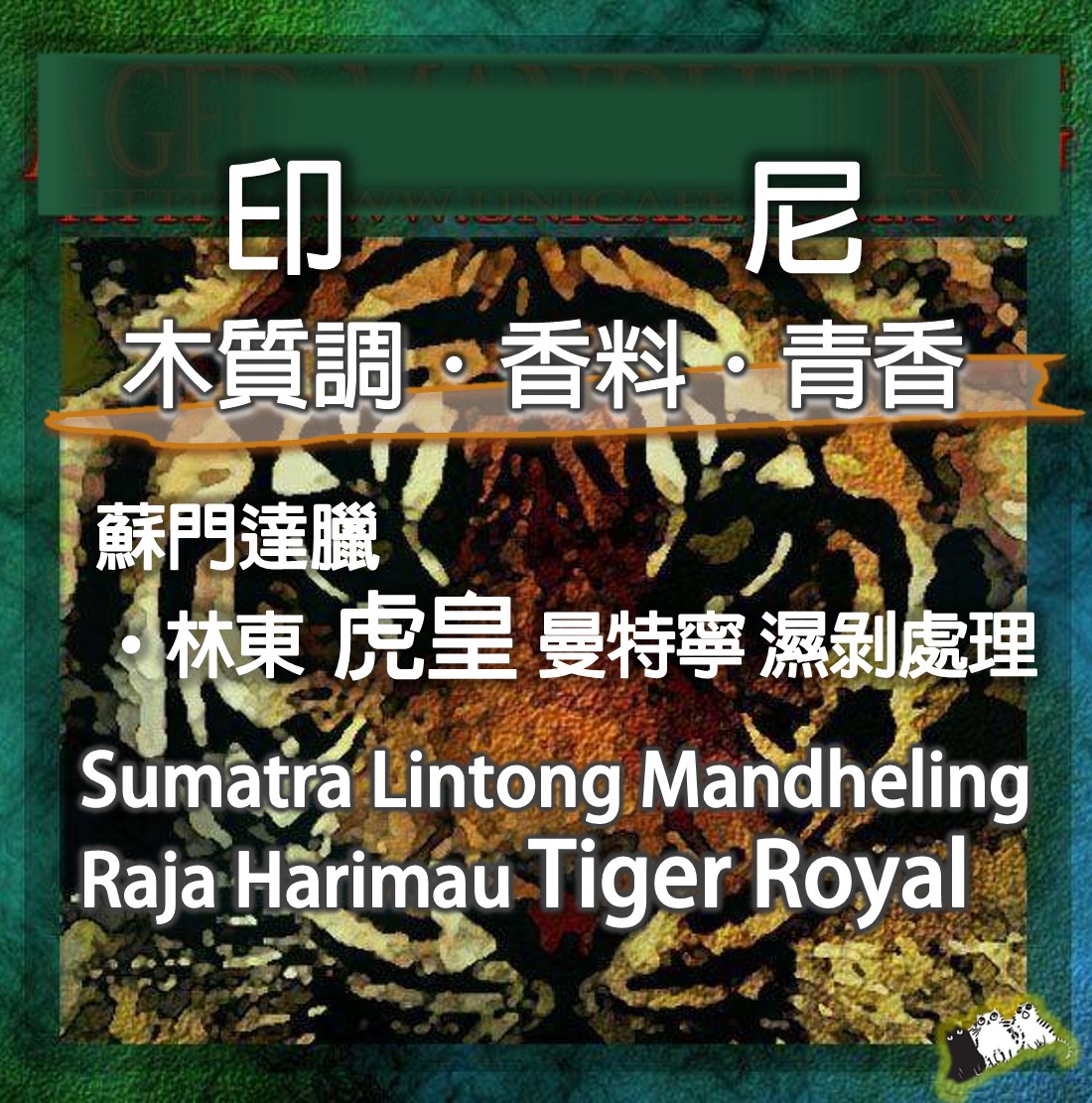 印尼 蘇門達臘 林東 虎皇曼特寧 濕剝處理