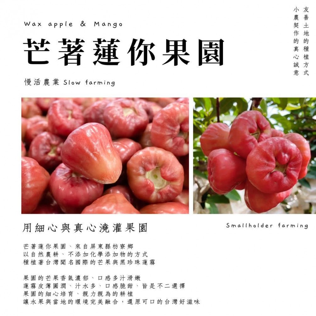 #永萍挺小農 #芒著蓮你果園?