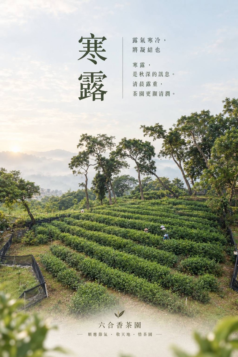 寒露