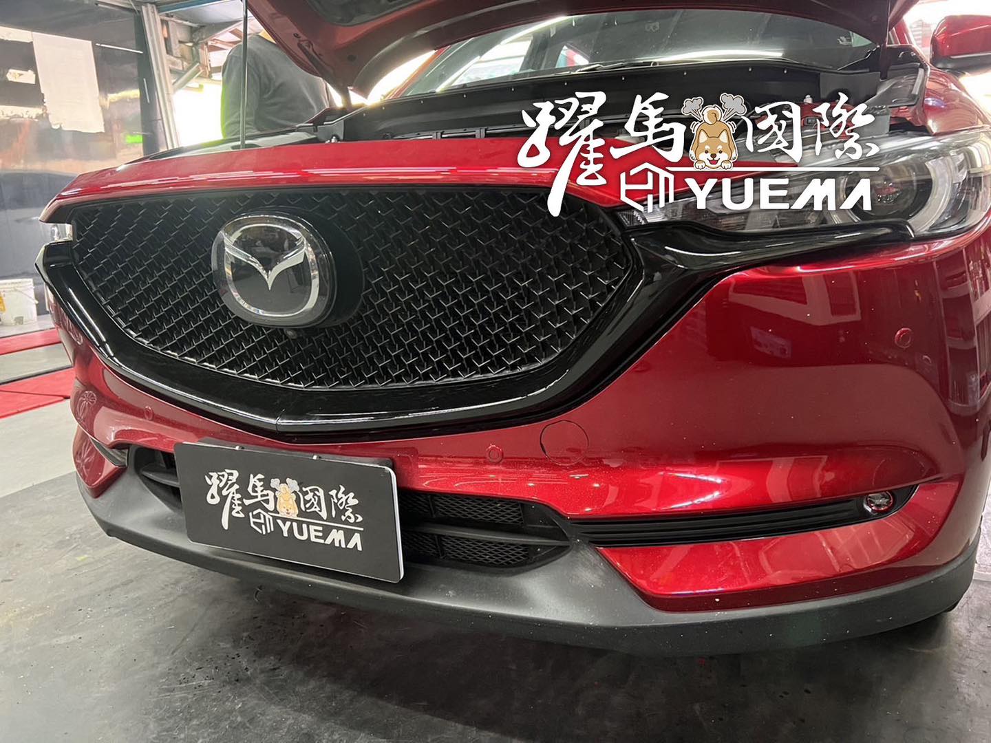 CX5魚眼霧燈