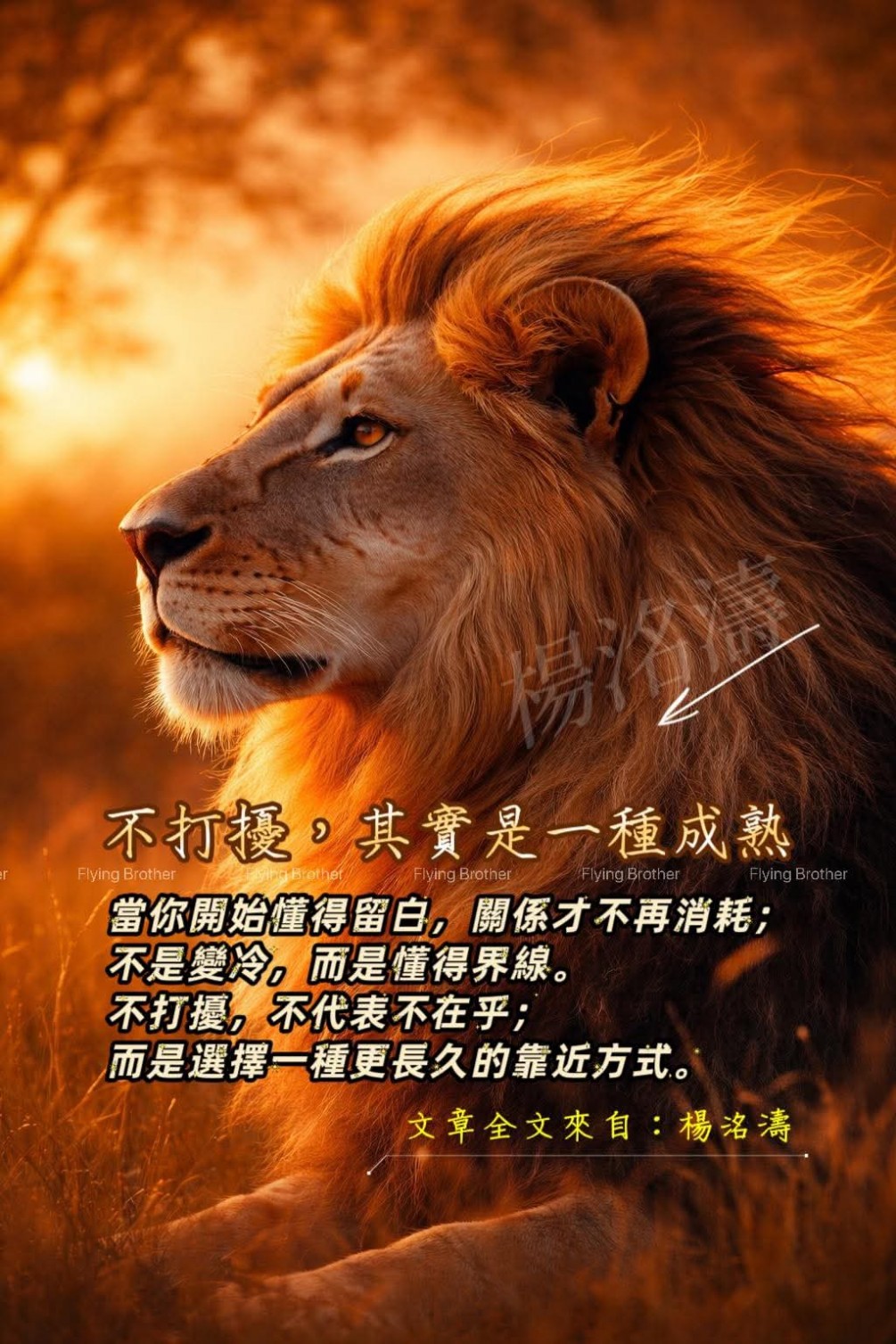 《不打擾，其實是一種成熟》