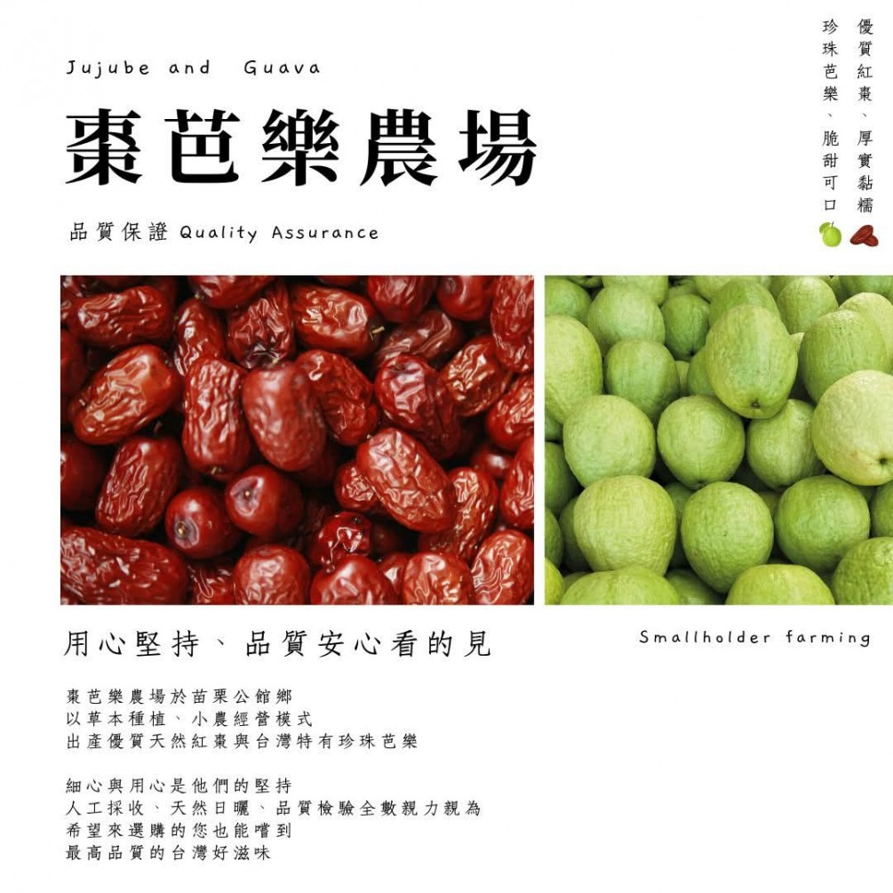 永萍挺小農 之棗芭樂農場???