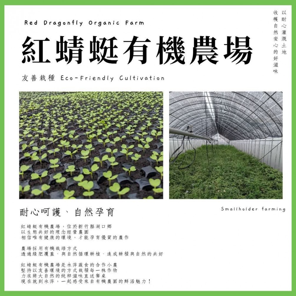 永萍挺小農 #紅蜻蜓有機農場