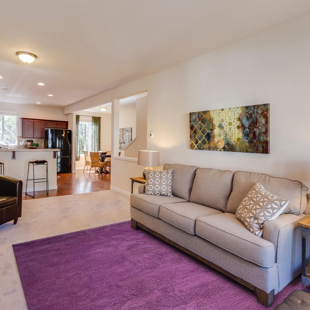 【山德力】凡地剛地毯_紫