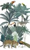熱帶雨林 鳥 0920-1