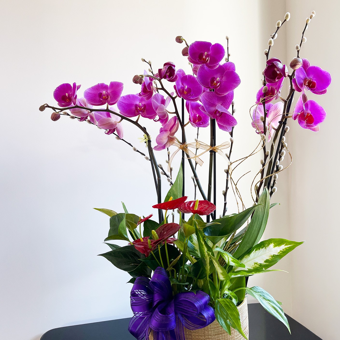 【 蘭海聽濤 】