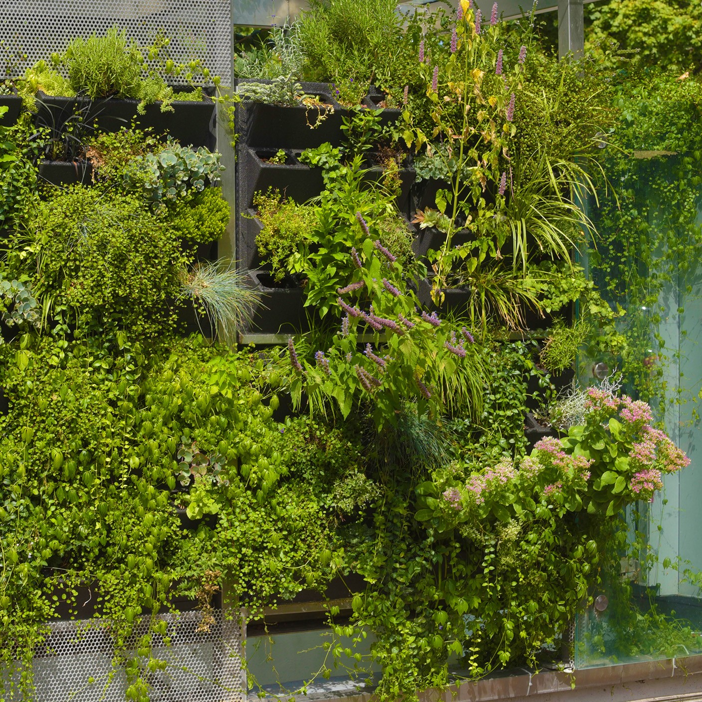 【 未來生境 】