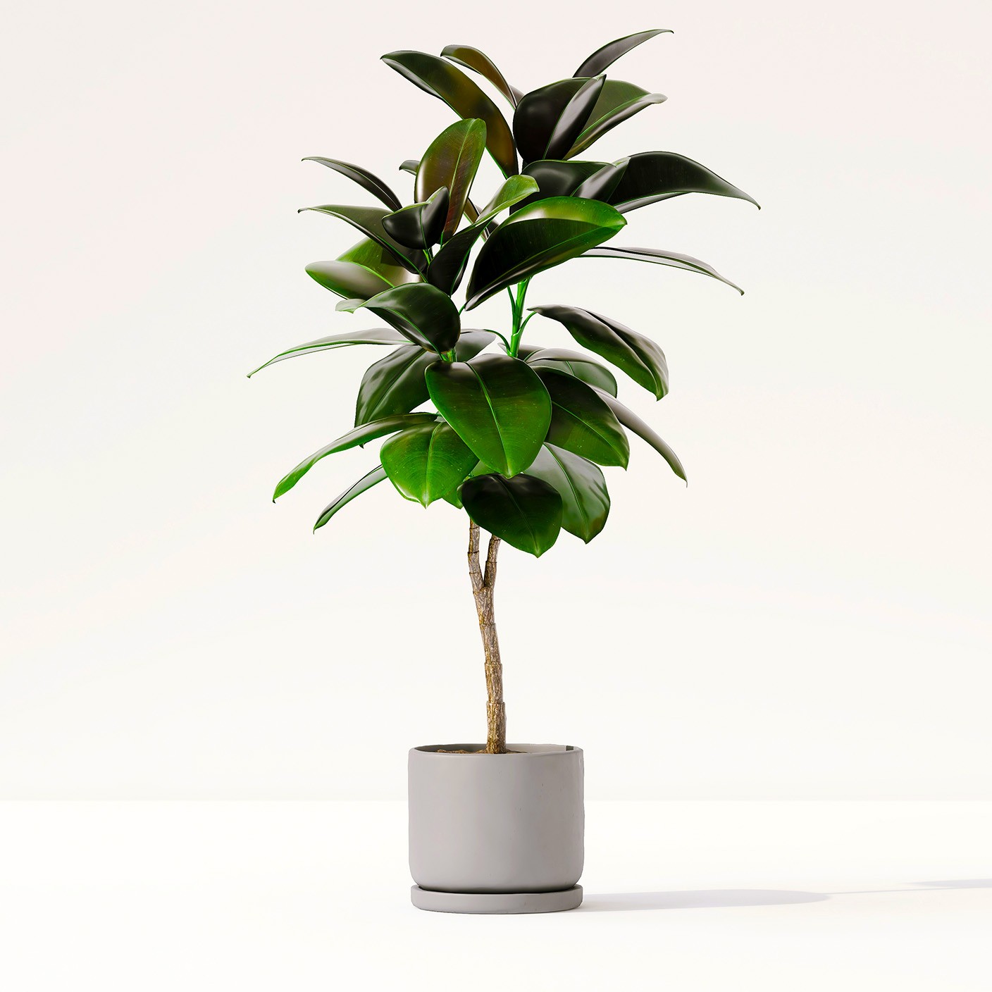 【 森語橡皮 】