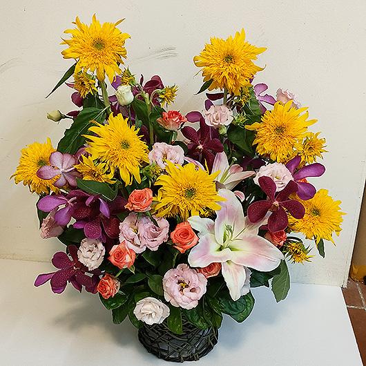 精緻花店桌上盆花(開幕/榮陞/喬遷/生日)祝賀盆花