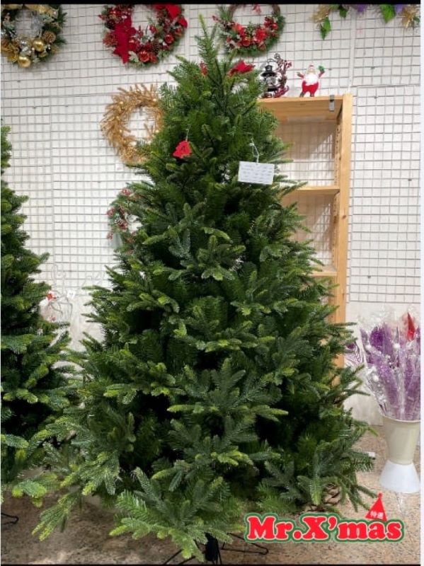 (完售) 2021年進口PE混針聖誕樹--8尺