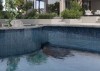 彩色。線條壁磚【CK-KD62503-1藍色】6X25｜12.5X25居家空間 │浴室廚房│玄關│商空設計｜地壁兩用磚#60216.120104