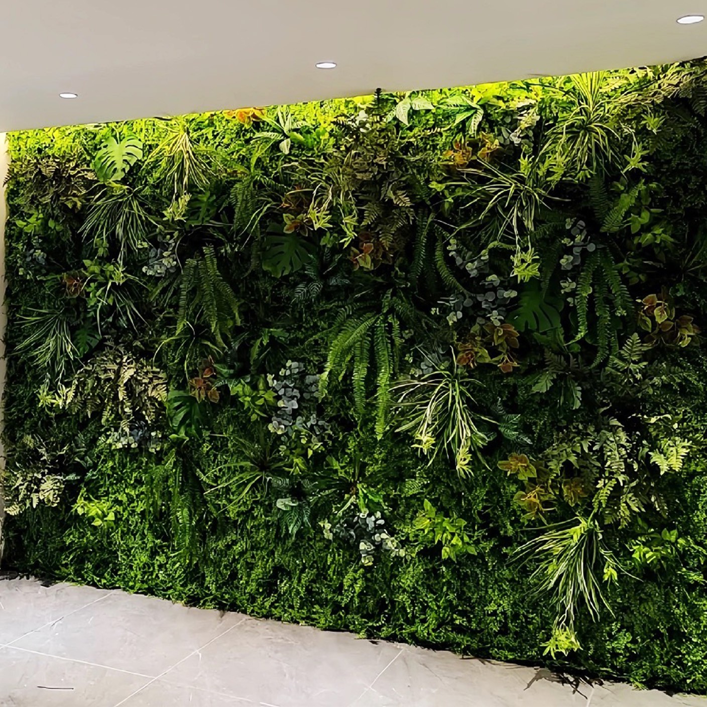 【 蕨醒花語 】