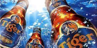 Tiger 虎牌啤酒  600ml(瓶) / 485ml(易開) / 330ml(易開)    12入 / 24入    &580   &880  &640