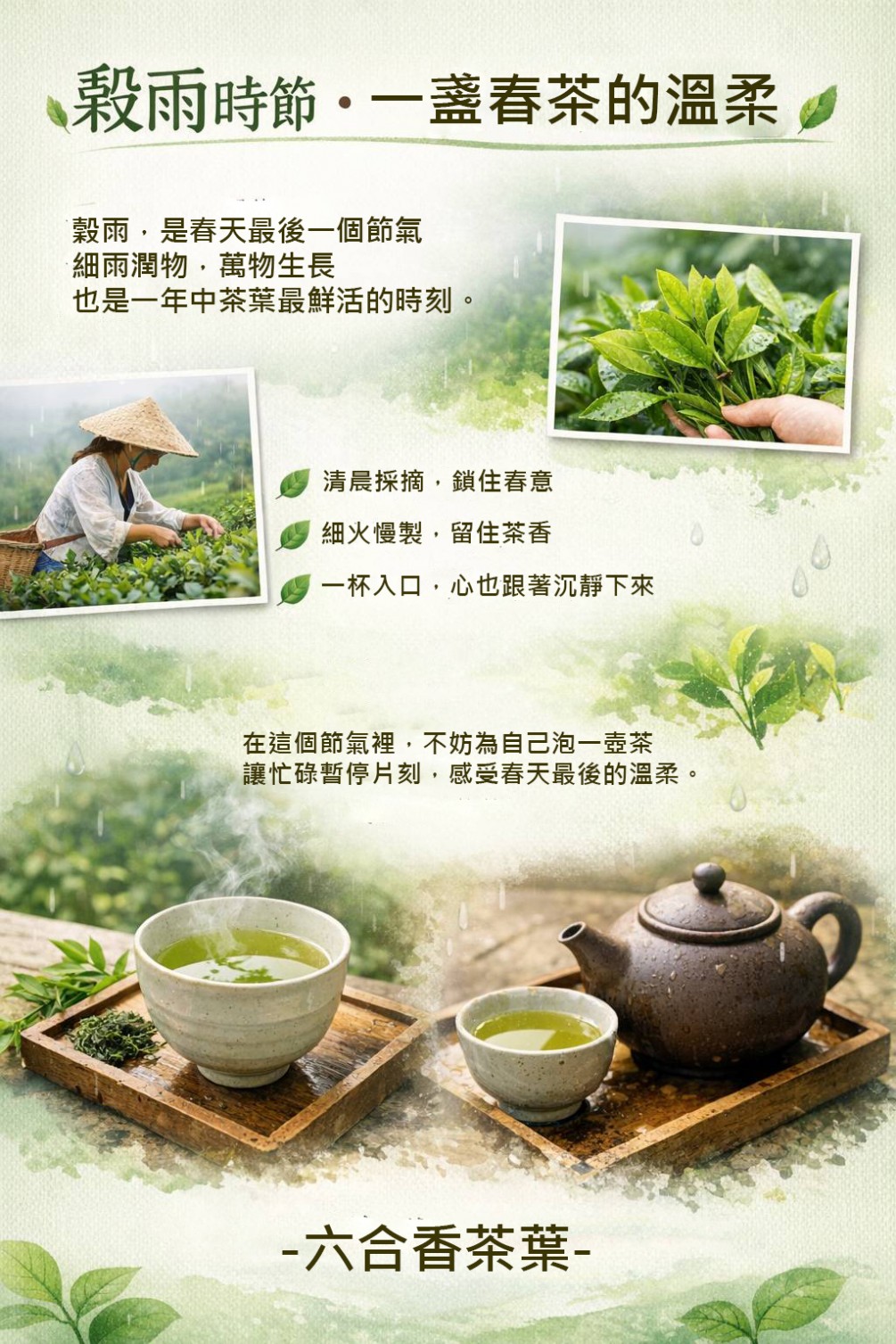 穀雨時節・一盞春茶的溫柔
