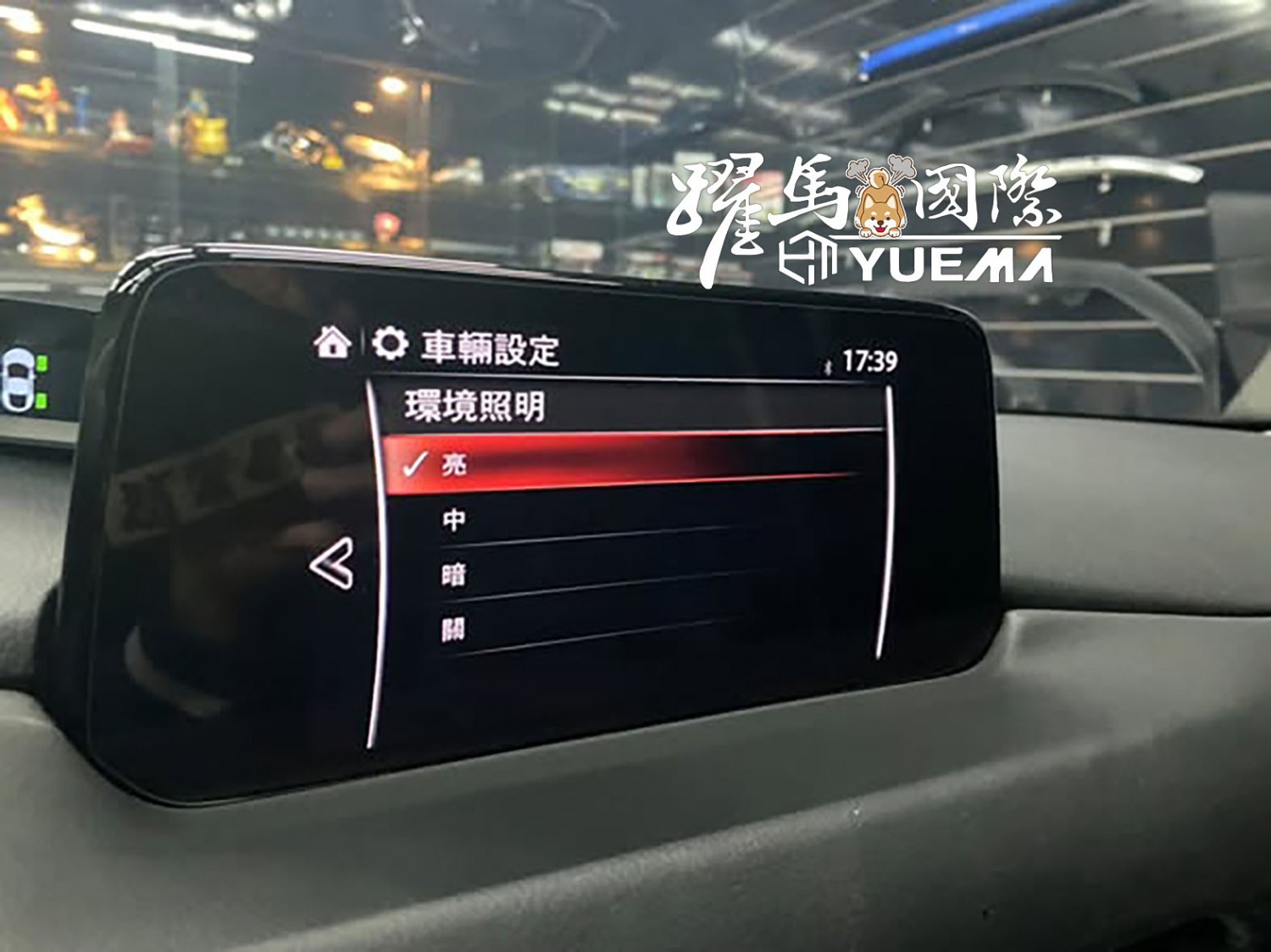 原廠系統地板氣氛燈