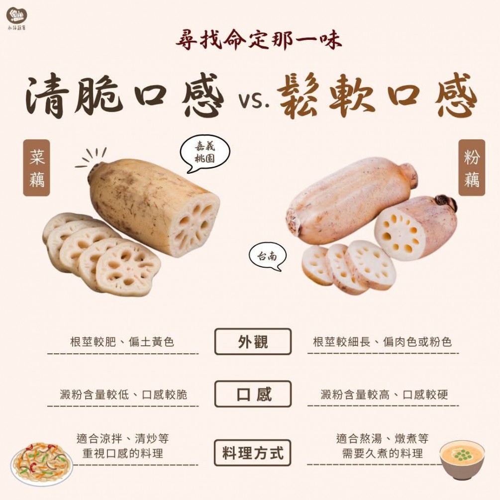 讓你一秒知道馬上知道菜藕與粉藕的不同與適合的料理方式✨