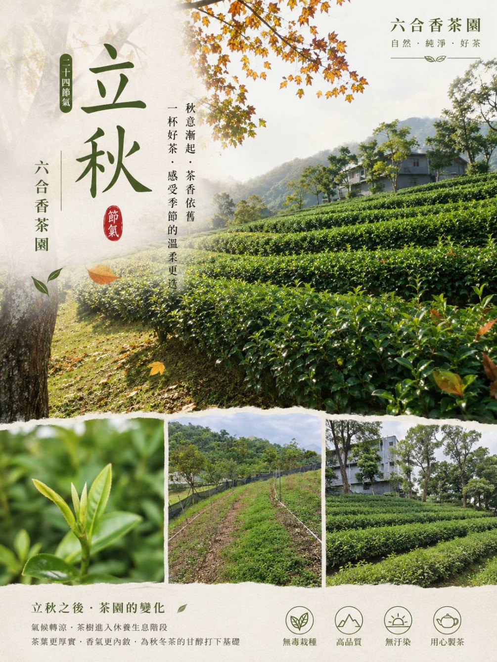 立秋