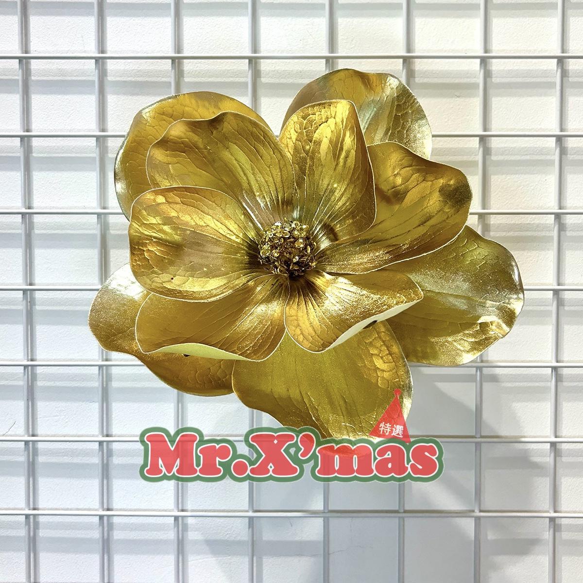 金漆皮大洋玉蘭