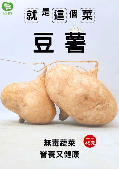 永萍蔬食上新菜－新鮮無毒豆薯一斤只要45元