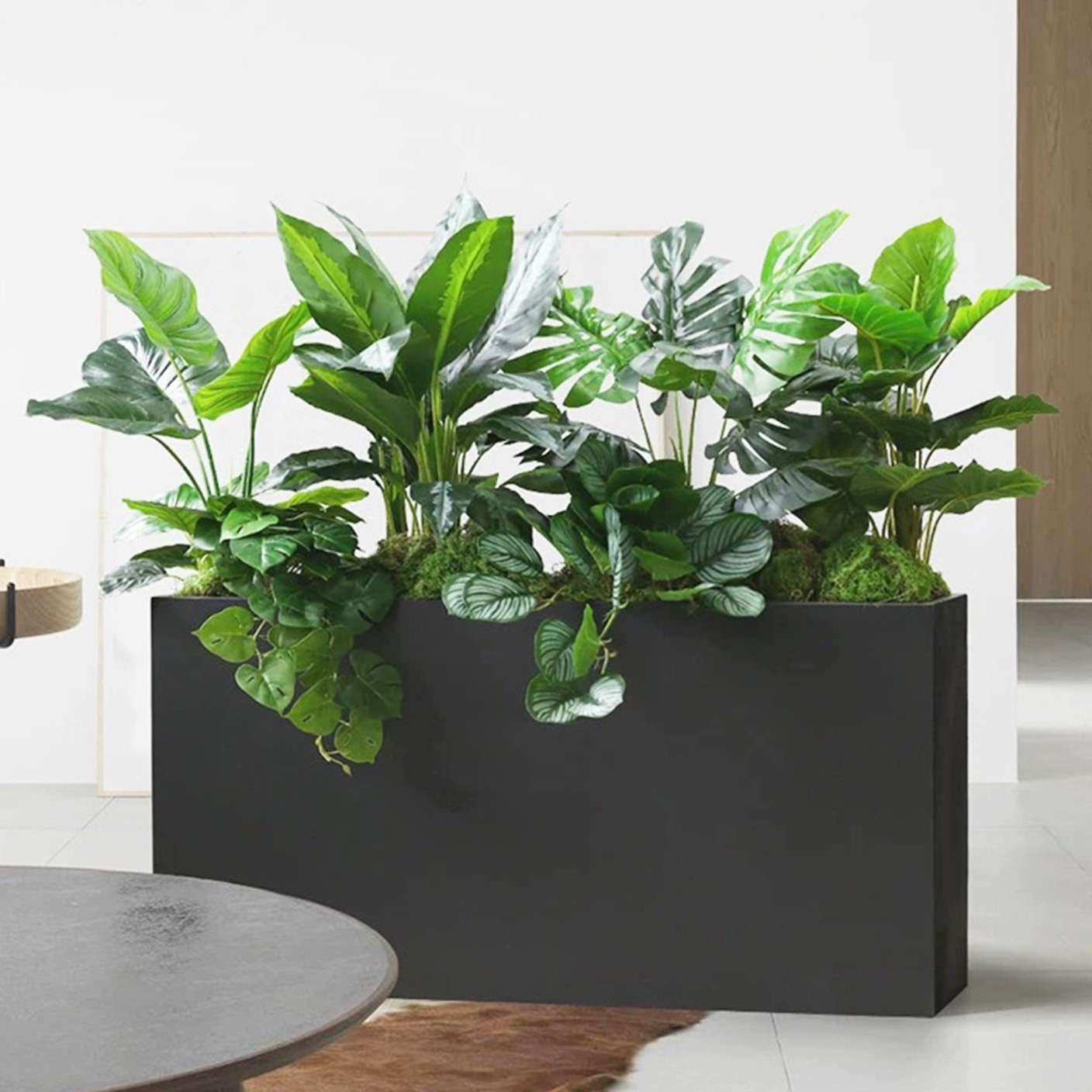 【 北境之森 】