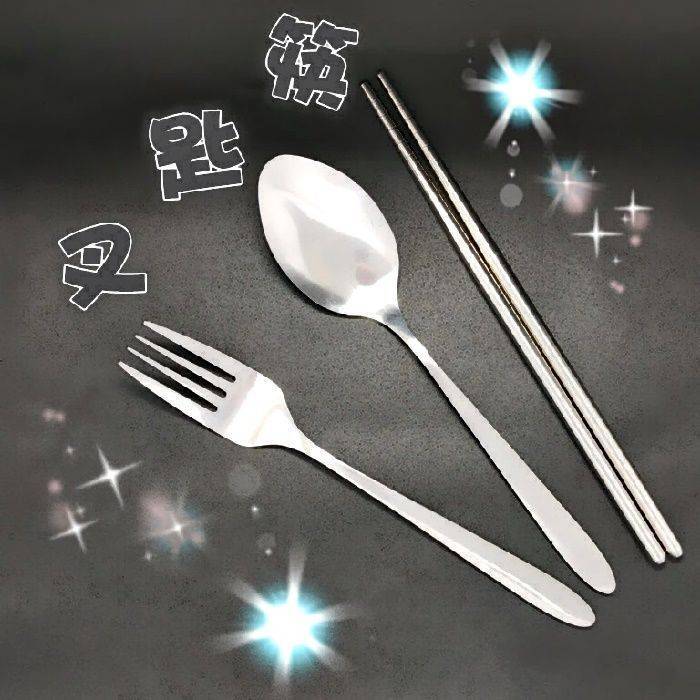 Lohogo環保餐具套裝 不銹鋼叉子,湯匙,筷子旅行5件套 便攜式餐具 筷+匙+叉+防塵盒+網套