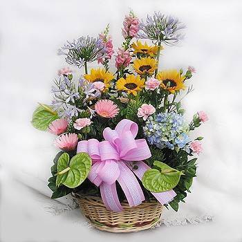 《花開富貴》盆花