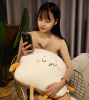 A016 吐司二合一抱枕