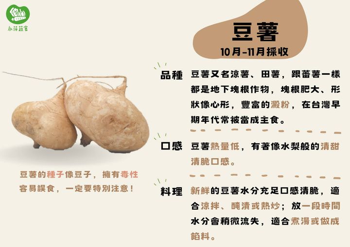 煮豆薯兩個小撇步