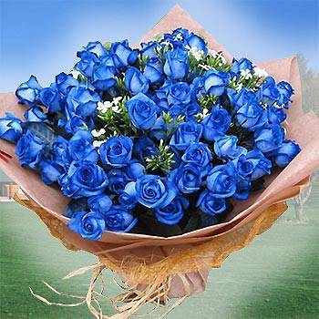 《藍色情深》田園風99朵藍玫瑰花束