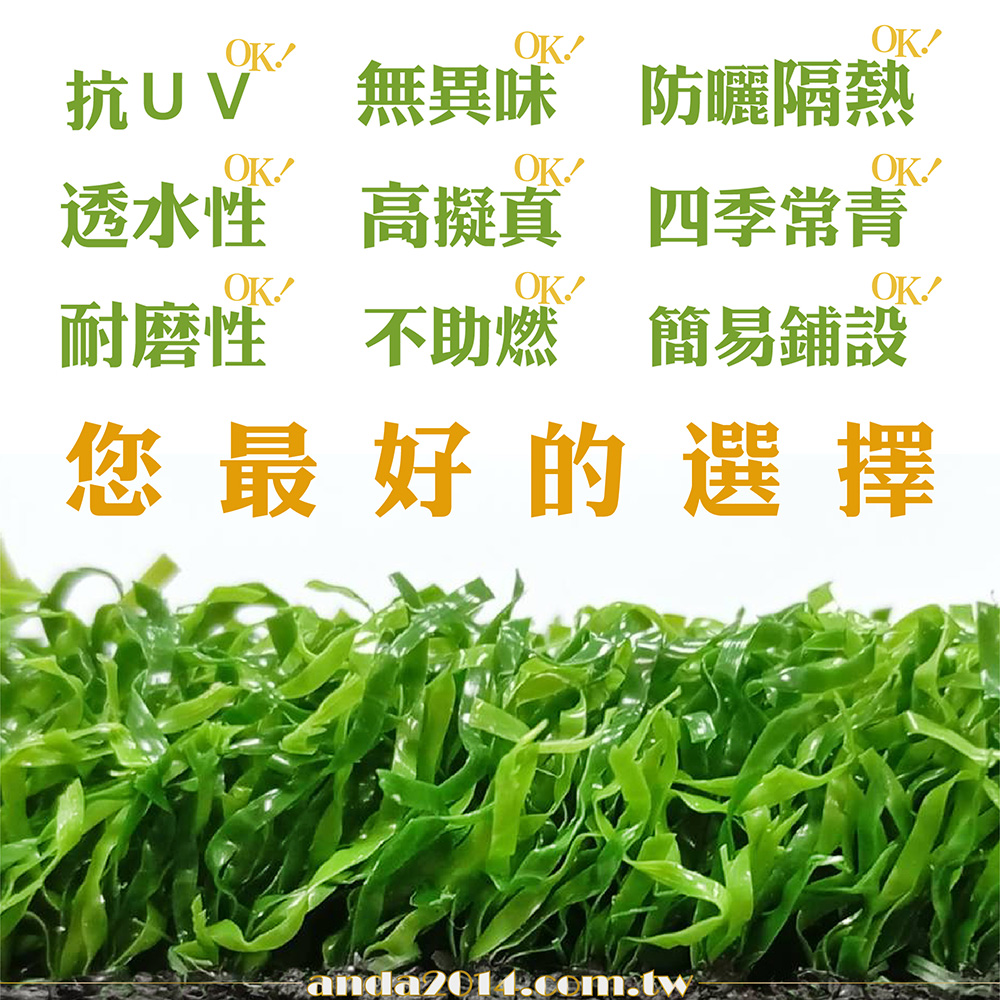 健力草,運動草,人工草皮,健身房,