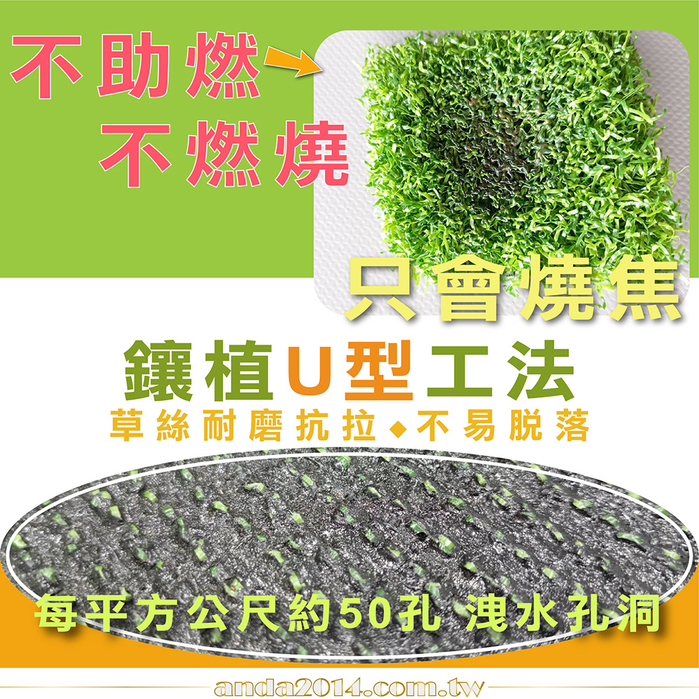 健力草,運動草,人工草皮,健身房,