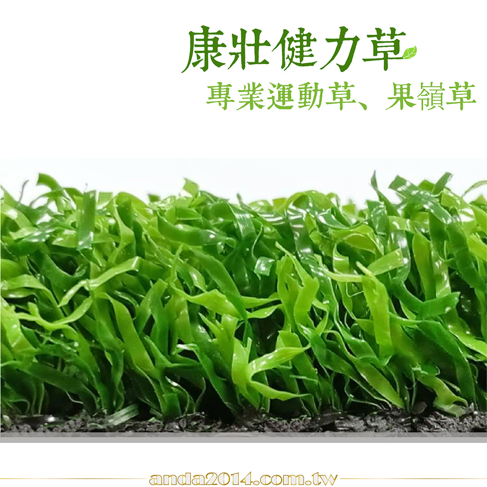 康壯,健力草,健身房,運動草,景觀草