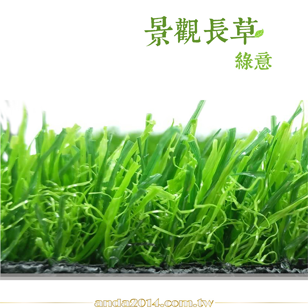 景觀草,人工草,秋草,