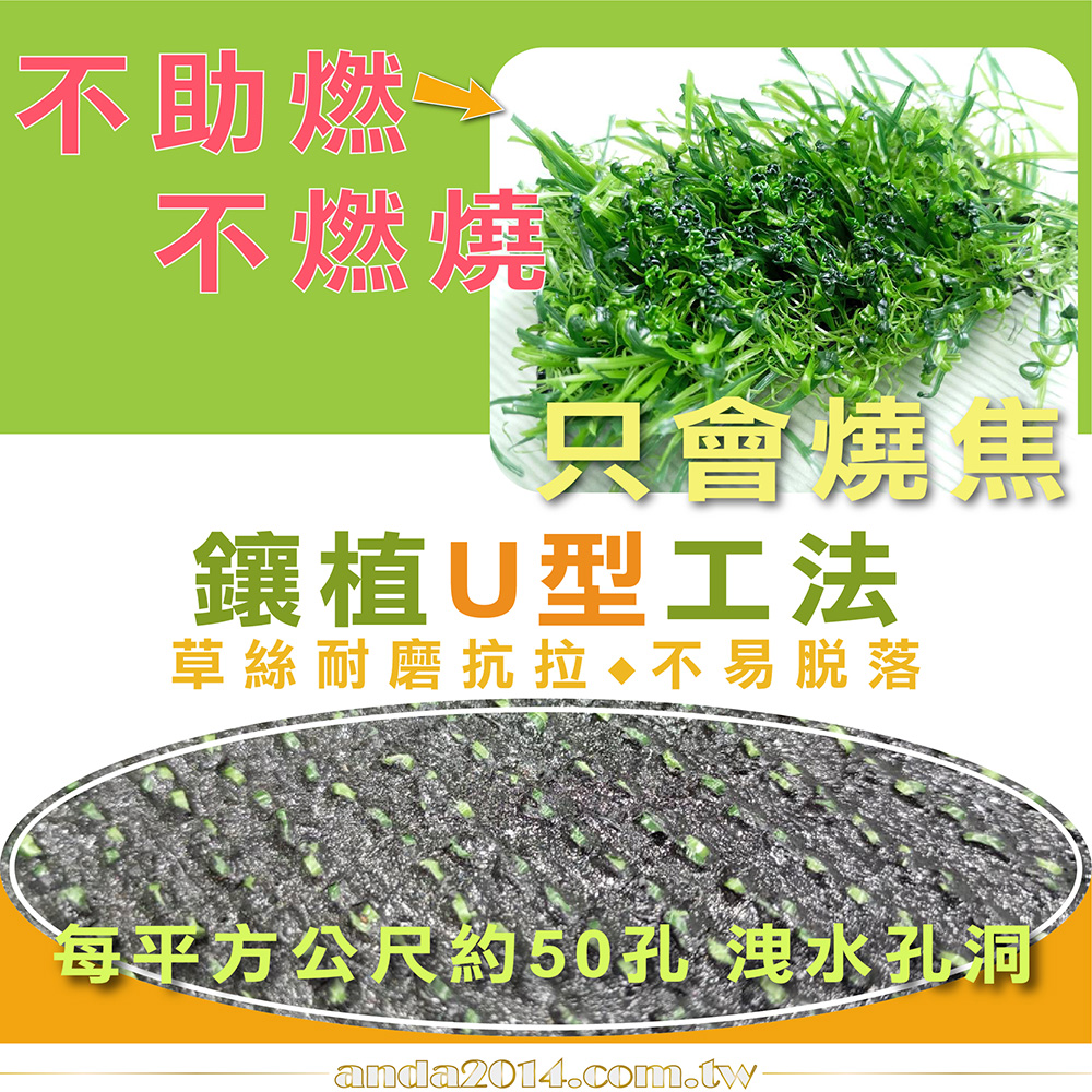 景觀長草,造景,春草,人工草