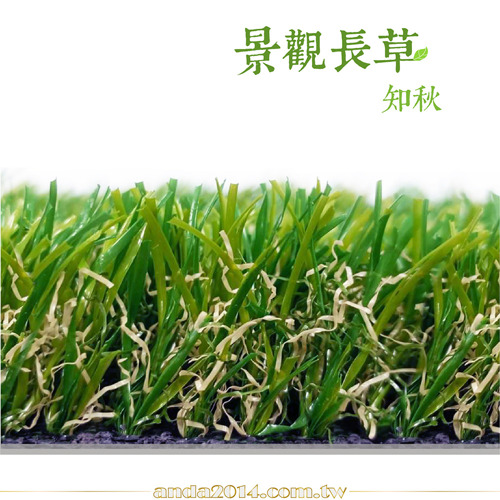 景觀草,人工草,秋草,
