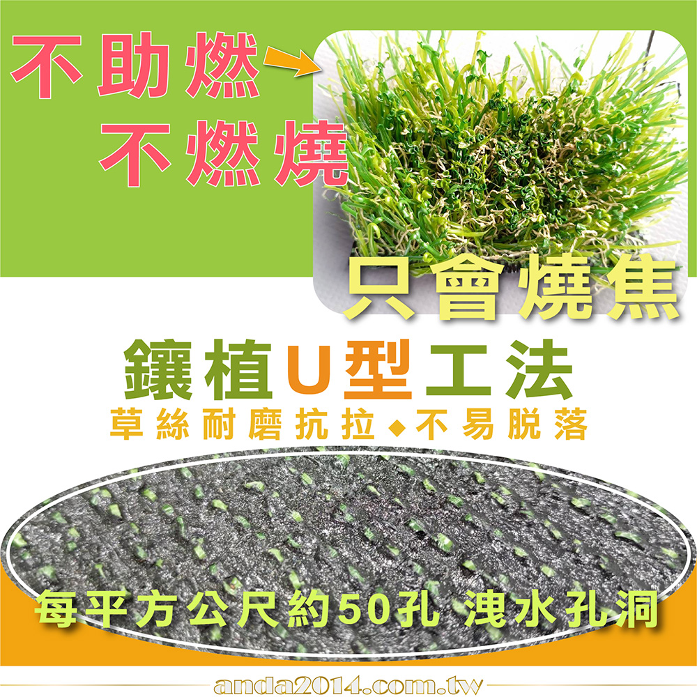 景觀長草,秋草,春草,人工草
